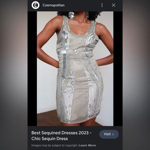 Parker Silver Sequin Comoros Dress - Size Medium